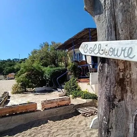 T2 A 50m De La Avec Piscine, Animaux Admis, Parking Prive - Fr-1-776-19 *