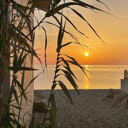 T2 A 50m De La Avec Piscine, Animaux Admis, Parking Prive - Fr-1-776-19 Argelès-sur-Mer