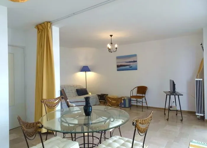 T2 A 50m De La Avec Piscine, Animaux Admis, Parking Prive - Fr-1-776-19 Appartement