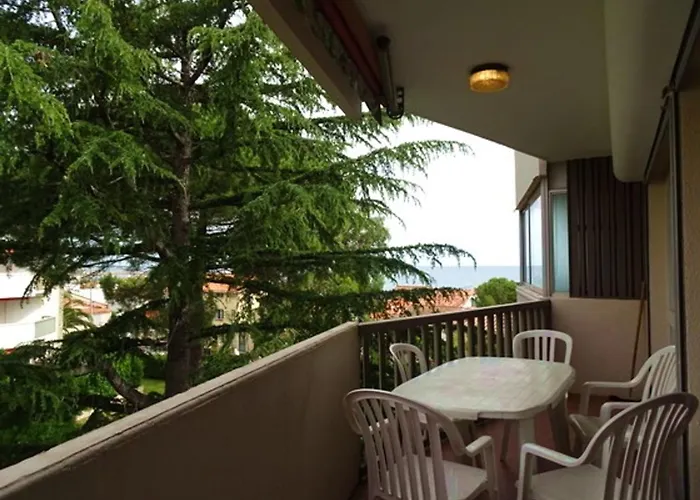 T2 A 50m De La Avec Piscine, Animaux Admis, Parking Prive - Fr-1-776-19 Appartement