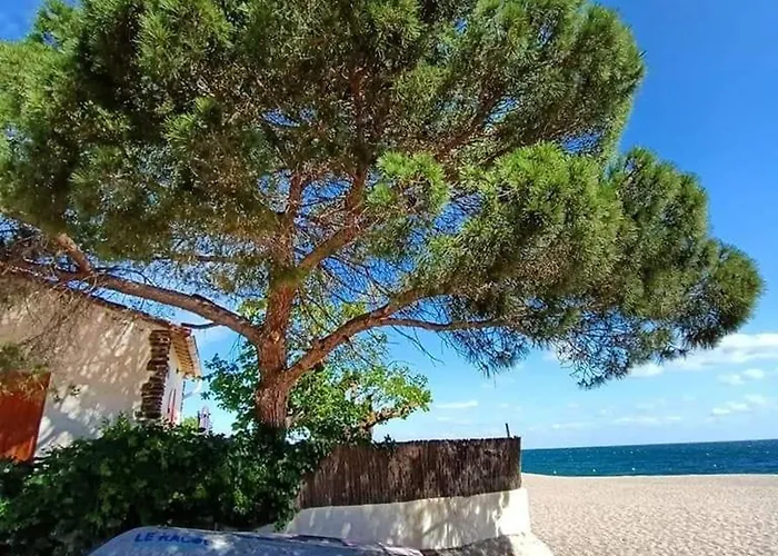 T2 A 50m De La Avec Piscine, Animaux Admis, Parking Prive - Fr-1-776-19 Appartement